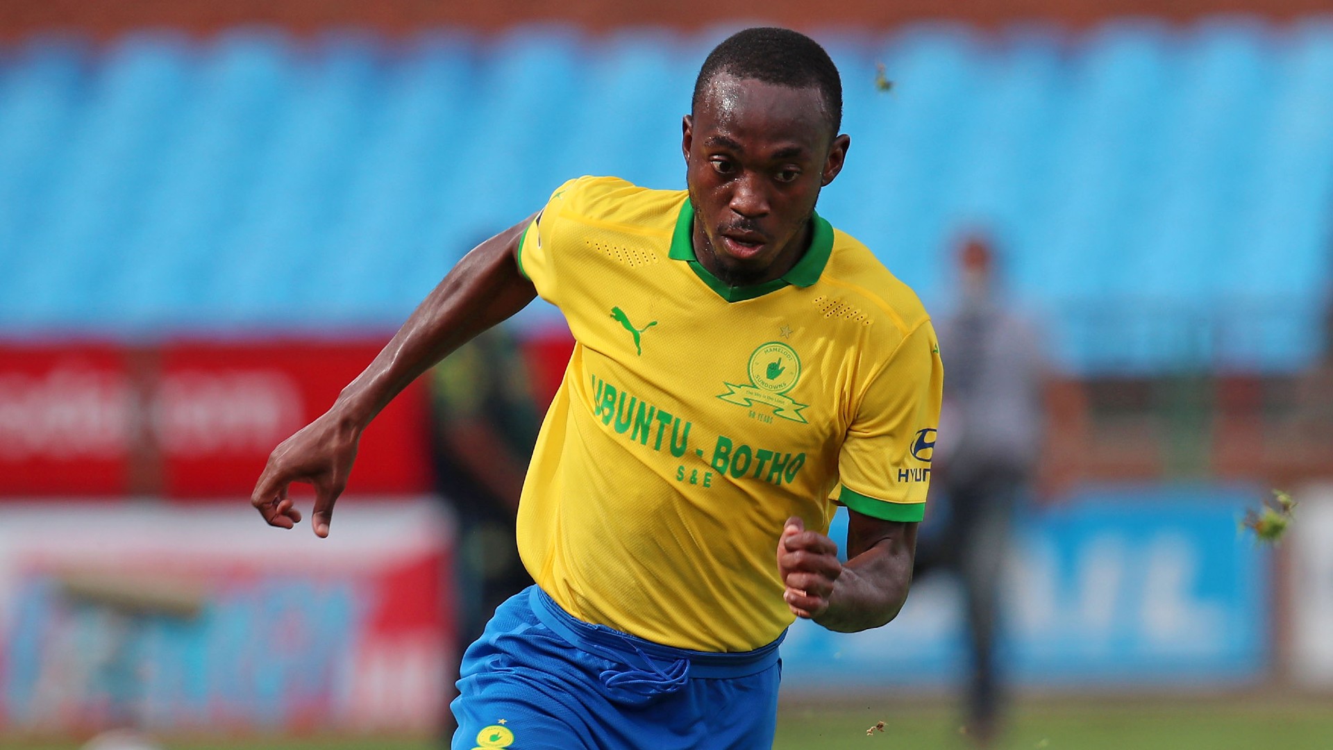 peter shalulile mamelodi sundowns december