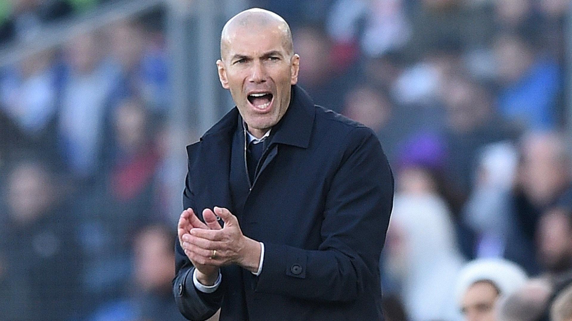 Real Madrid - Zinédine Zidane : 