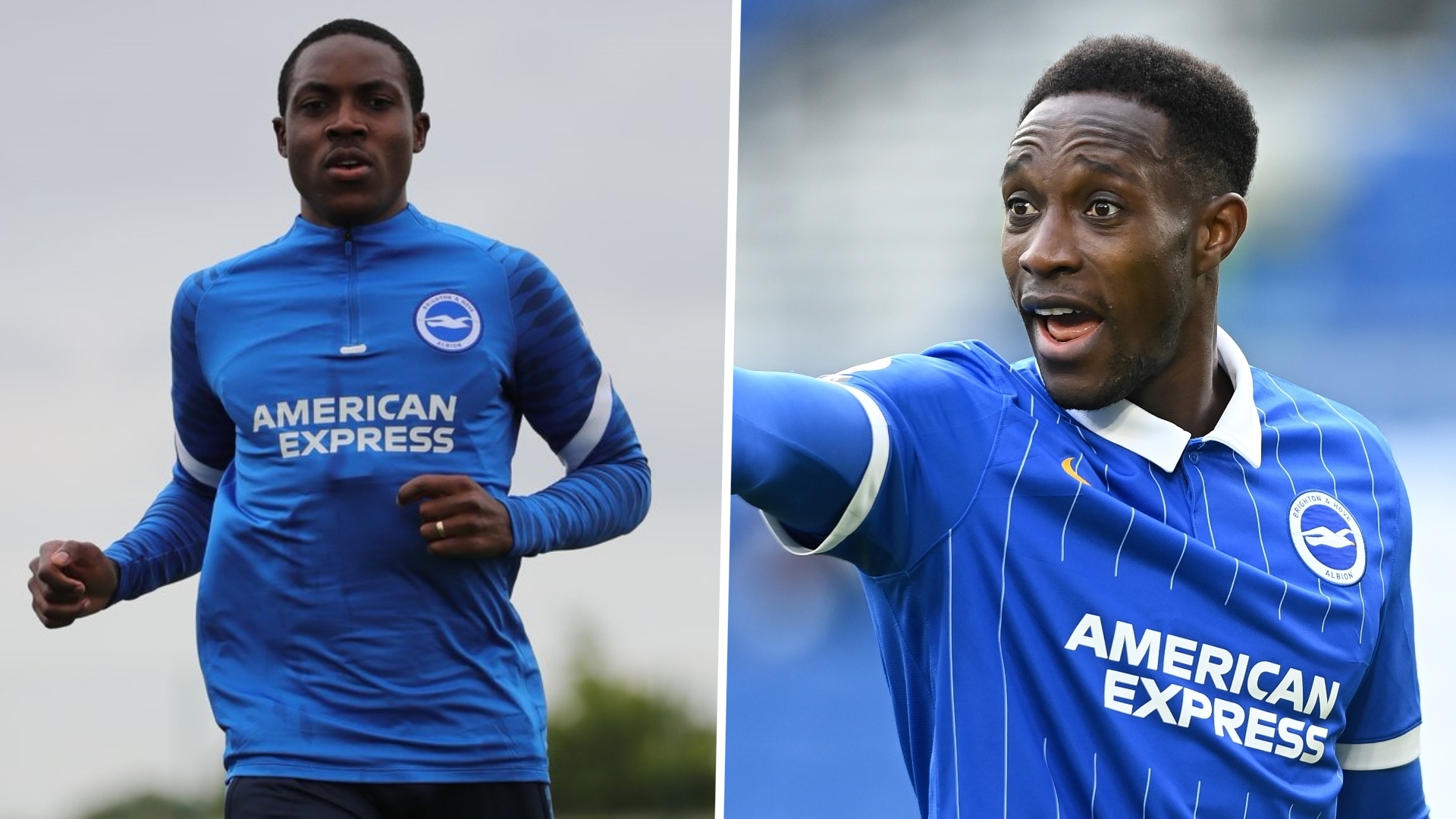 brighton hove albion enock mwepu and danny