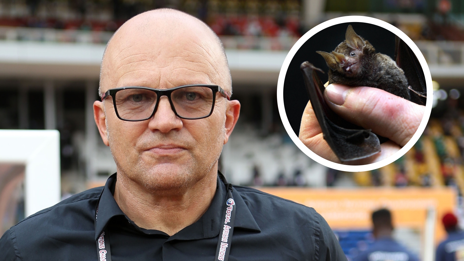 Bat-gate exclusive: Caf to launch investigation into ‘witchcraft’ allegations Bat-gate exclusive: Caf to launch investigation into ‘witchcraft’ allegations