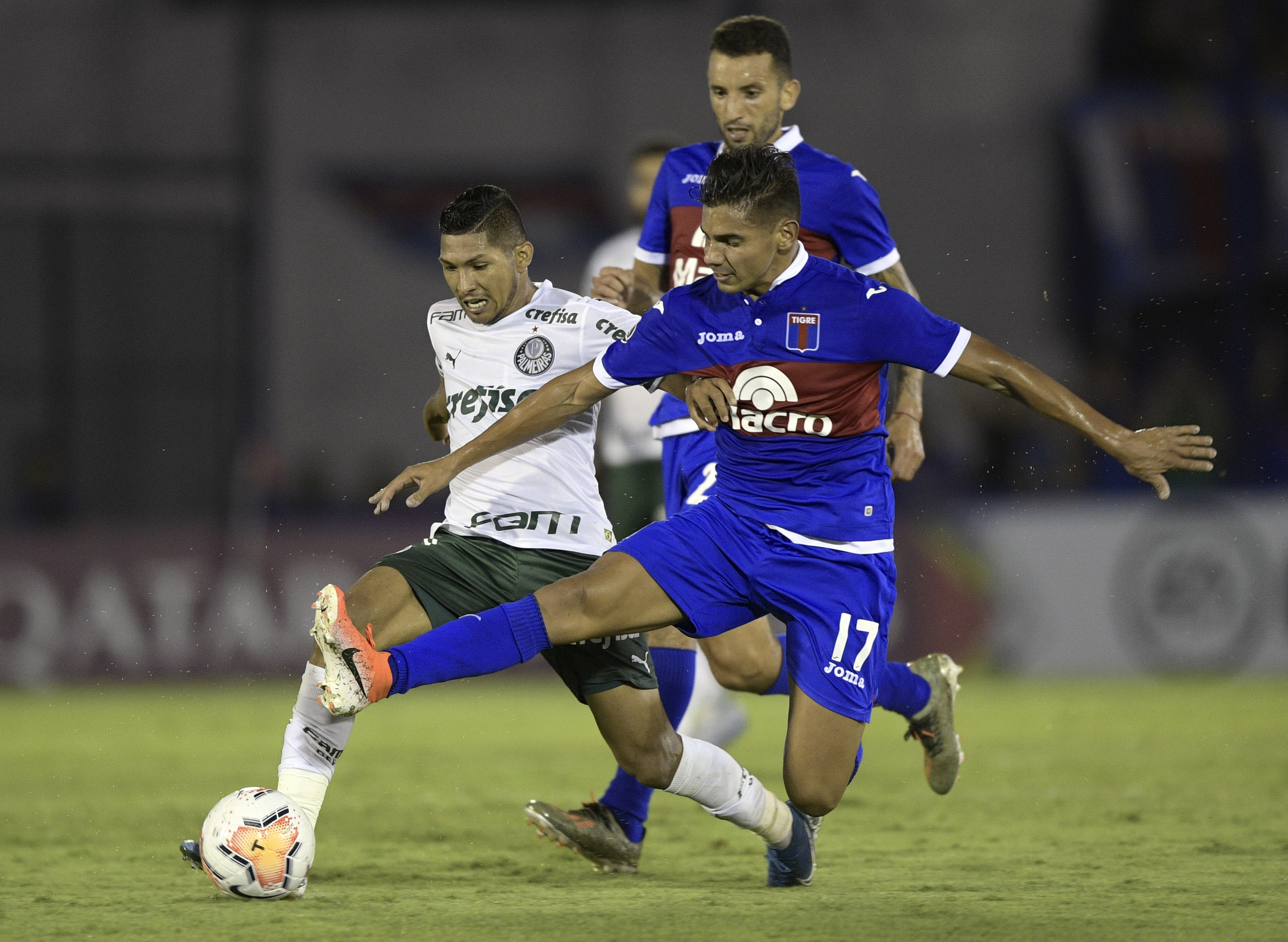 Tigre Palmeiras