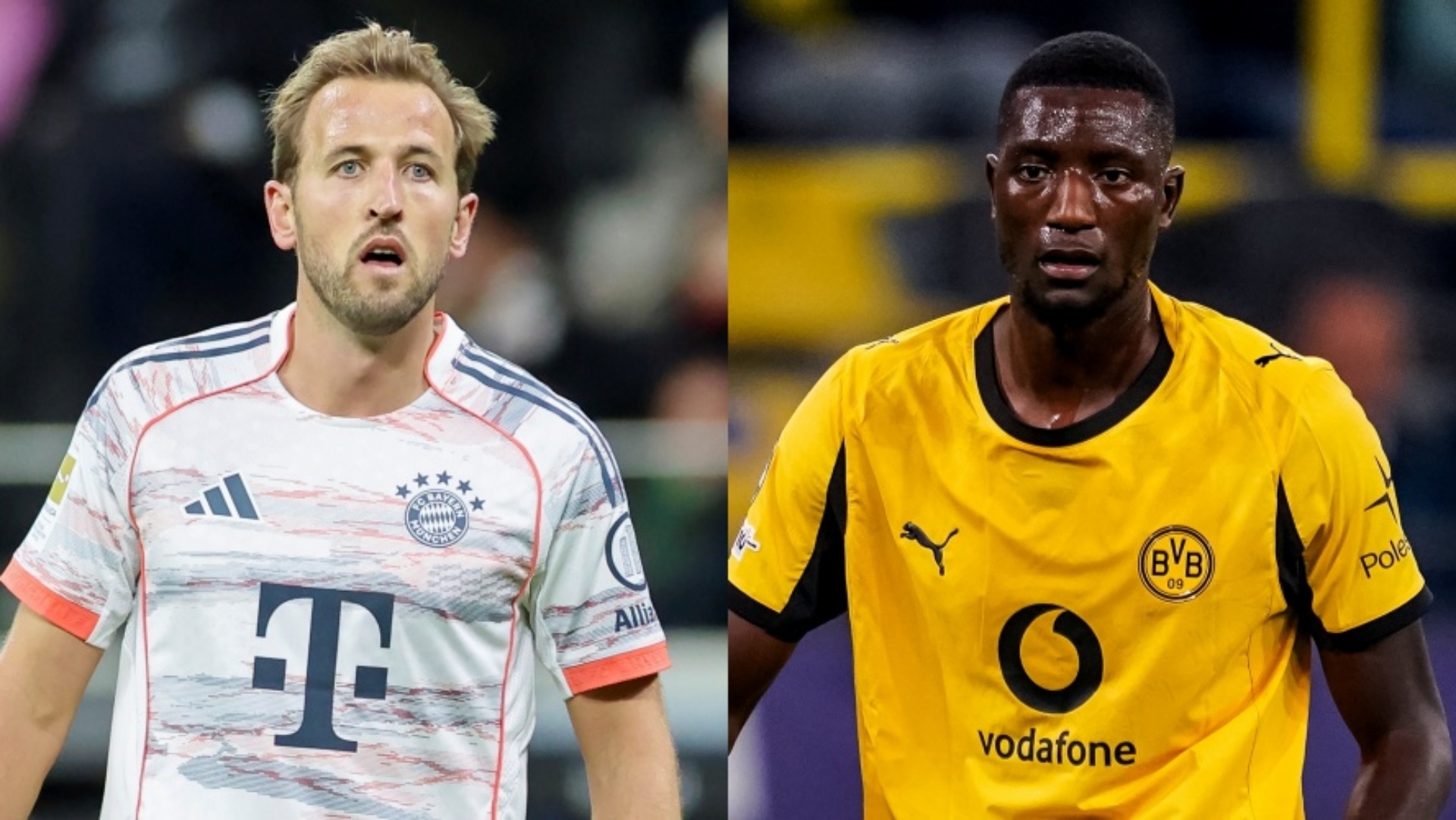 【正規品】ボローニャFC 24-25 カストロ 正規品】ボローニャFC 24-25 カストロ