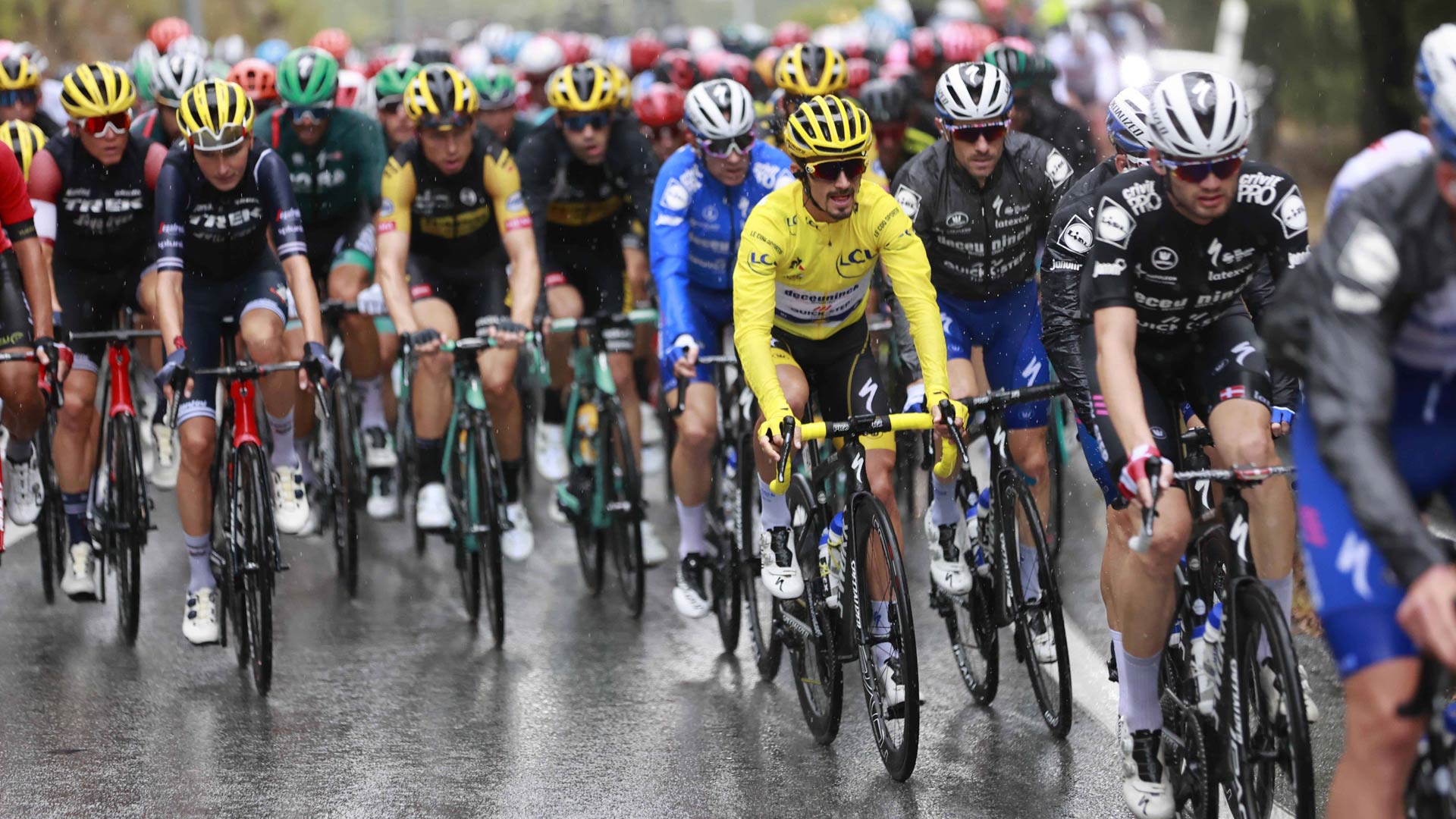 Tour de France live sehen So wird Radsport im Livestream gezeigt / übertragen DAZN News DE