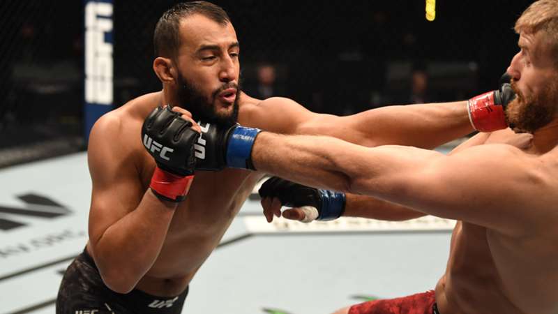 UFC Fight Night live auf DAZN: Reyes vs. Prochazka im TV und Livestream