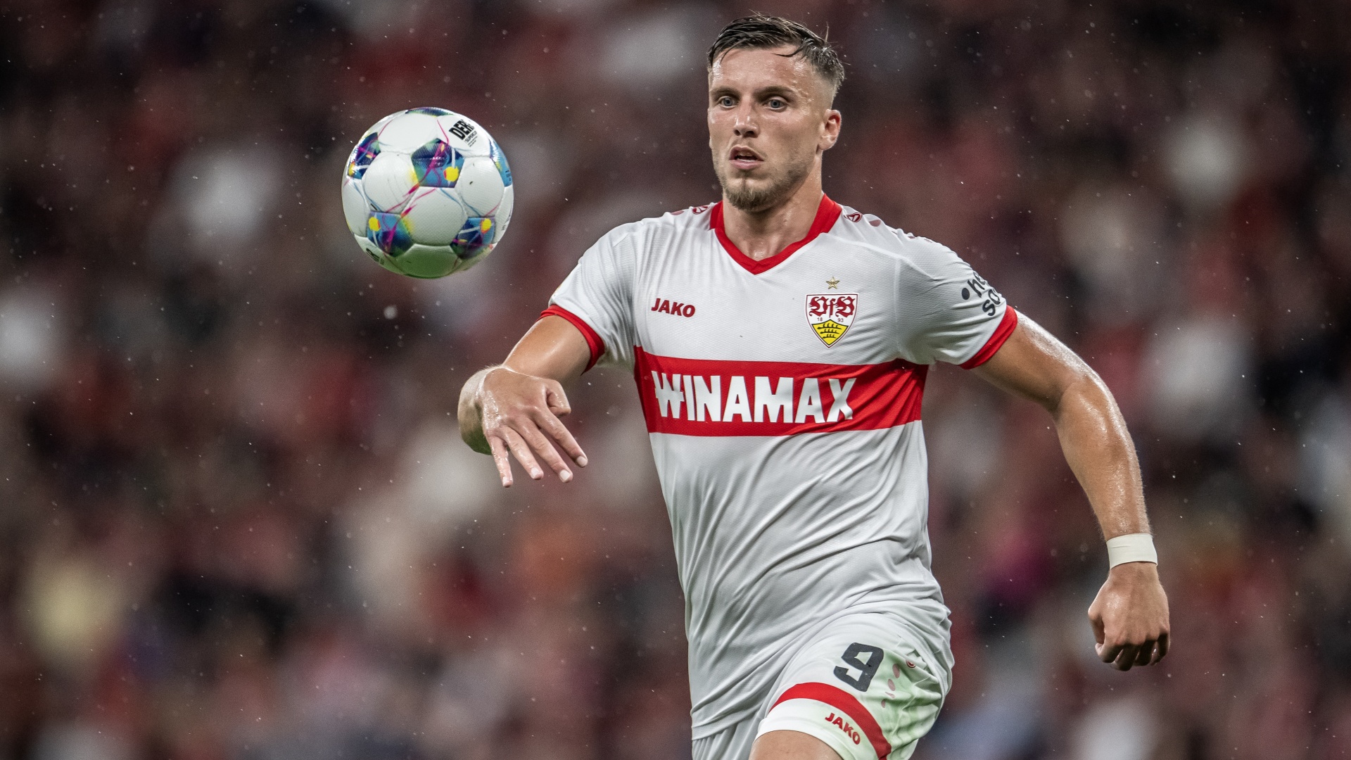 Roter Stern Belgrad vs. VfB Stuttgart live TV, LIVESTREAM alles zur Übertragung DAZN News DE