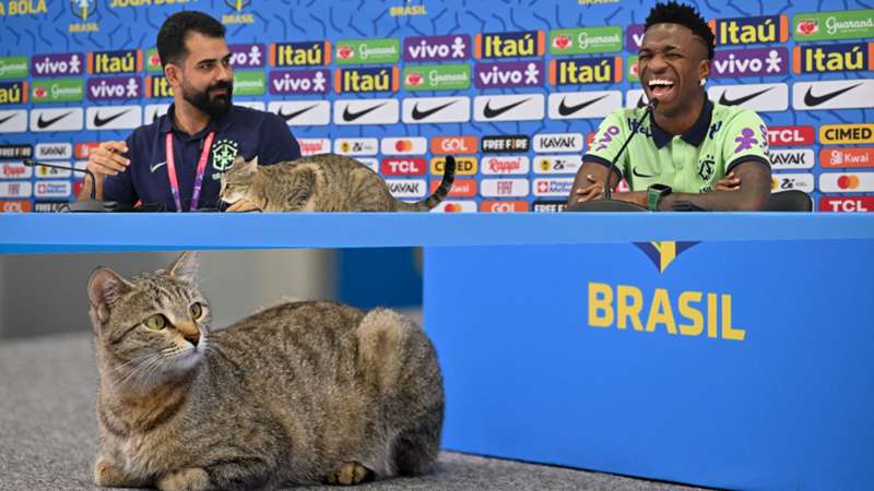 20221207-Brazil-Vinicius-Cat