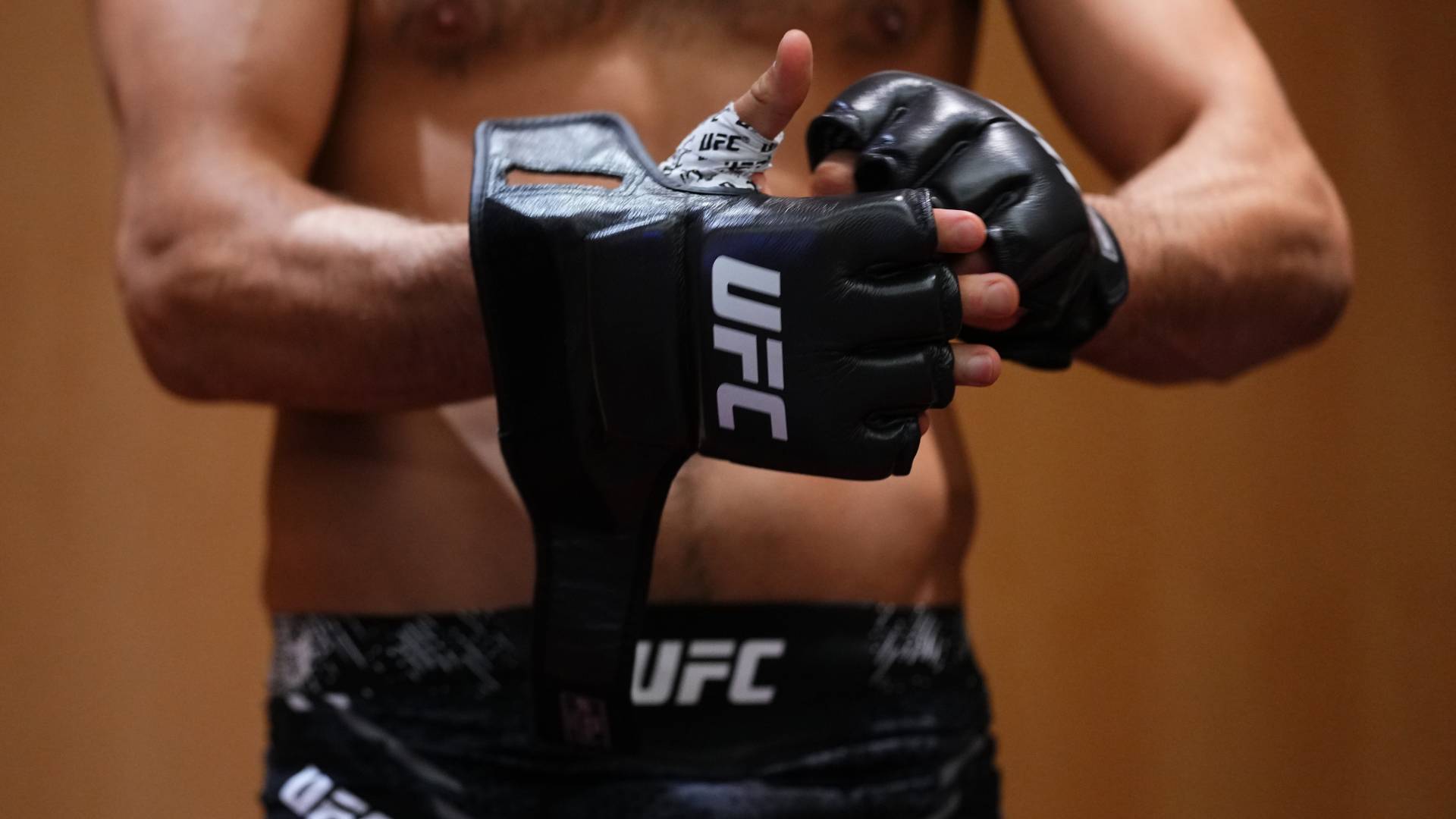 UFC gloves