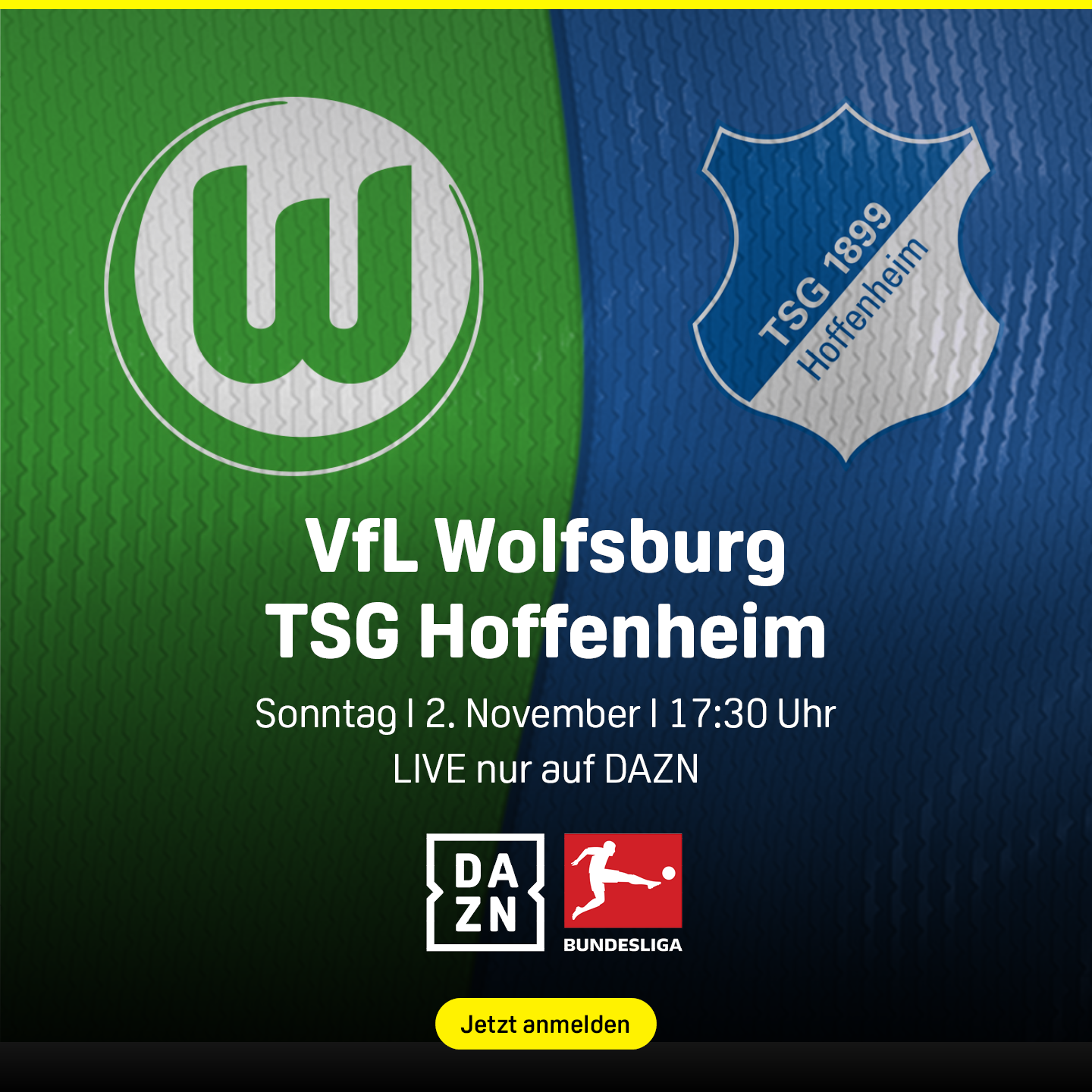 VfL Wolfsburg TSG Hoffneheim Bundesliga