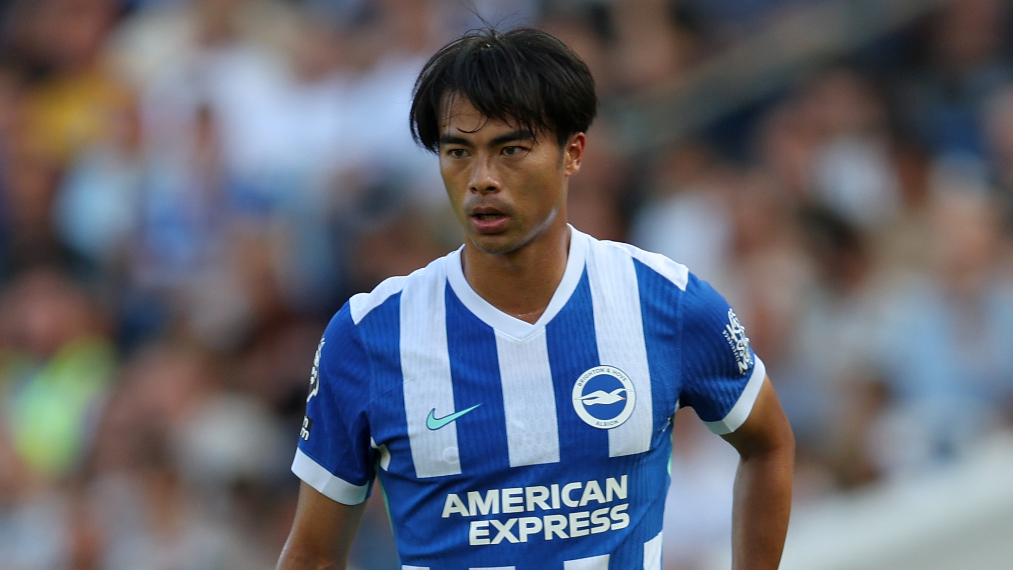 mitoma-kaoru-brighton-