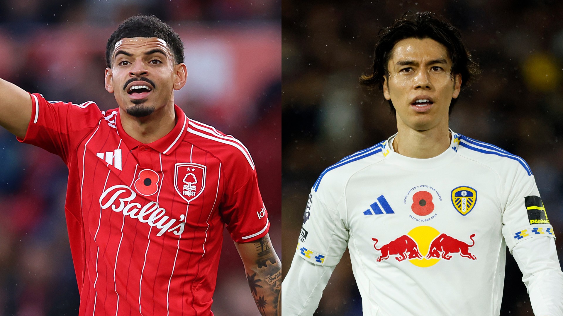 注目選手】ステーフェン・ベルフワイン ｜ トッテナム | DAZN News JP