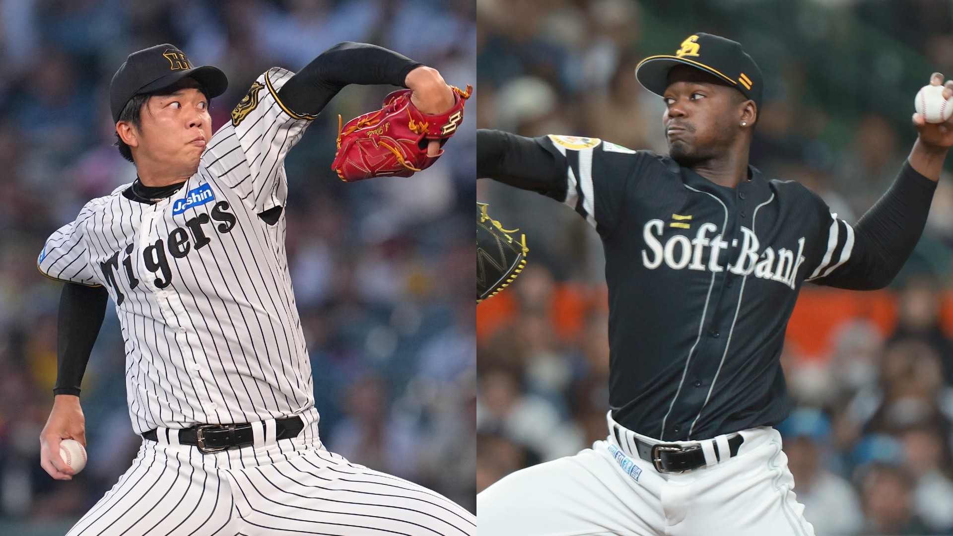 SMBC日本シリーズ公式ボールセット ソフトバンクホークス対阪神