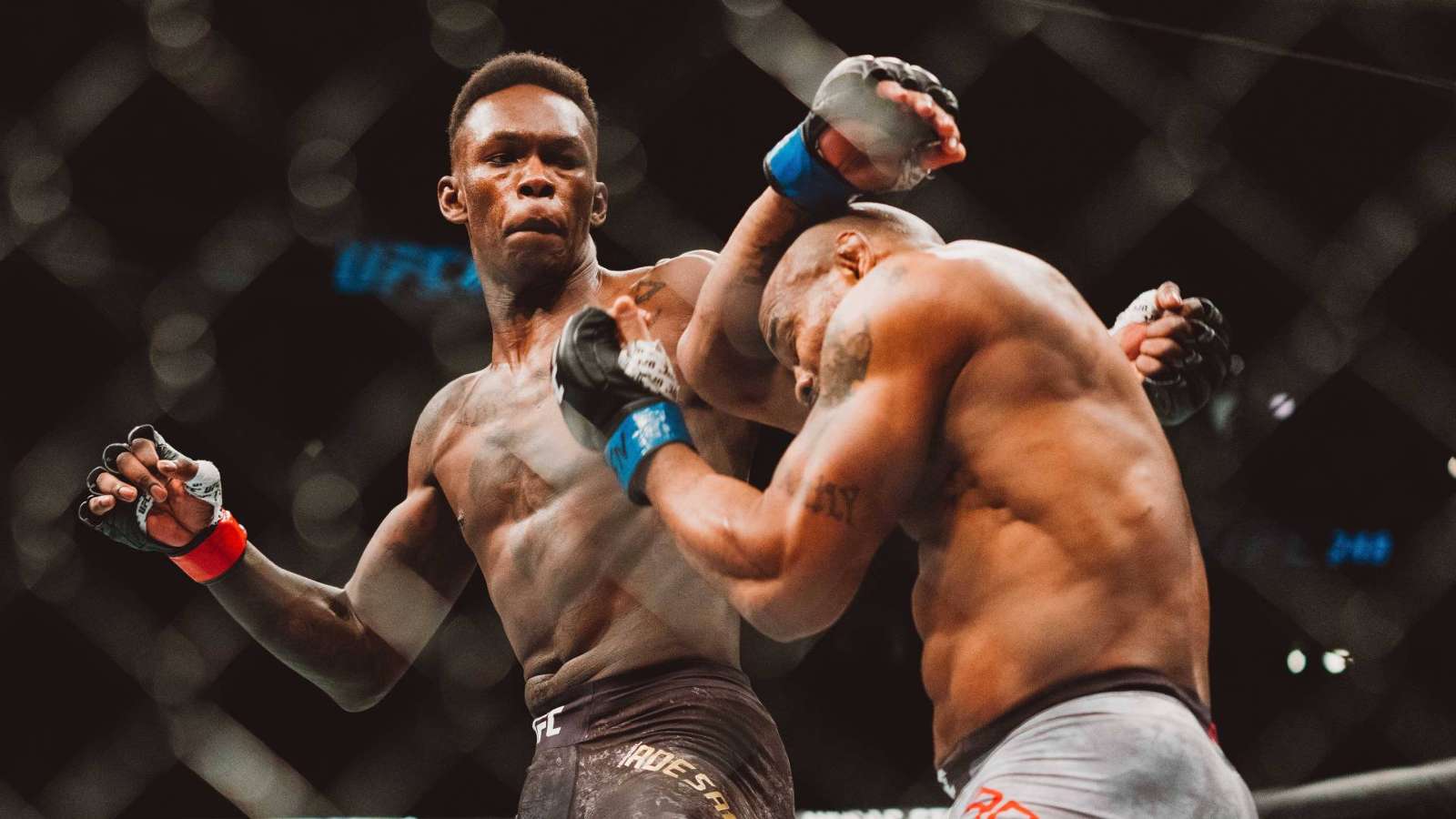 Wer zeigt / überträgt UFC 253 heute live? DAZN News Deutschland