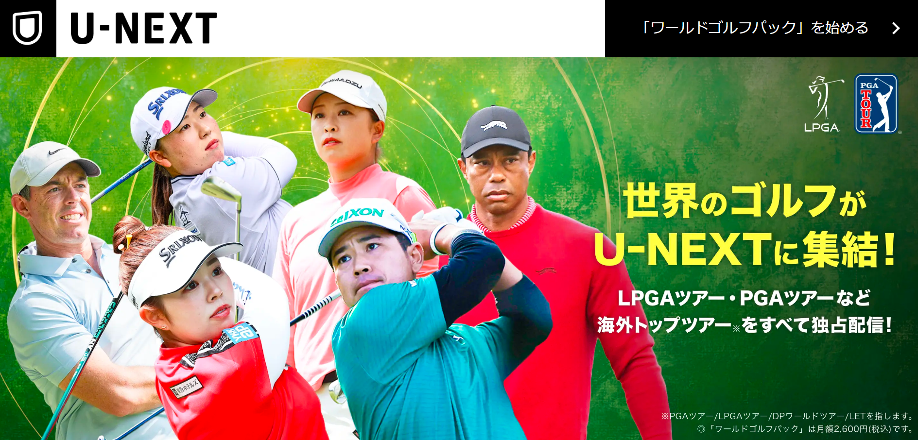 活動歴および当時の関連ビジュアル記録