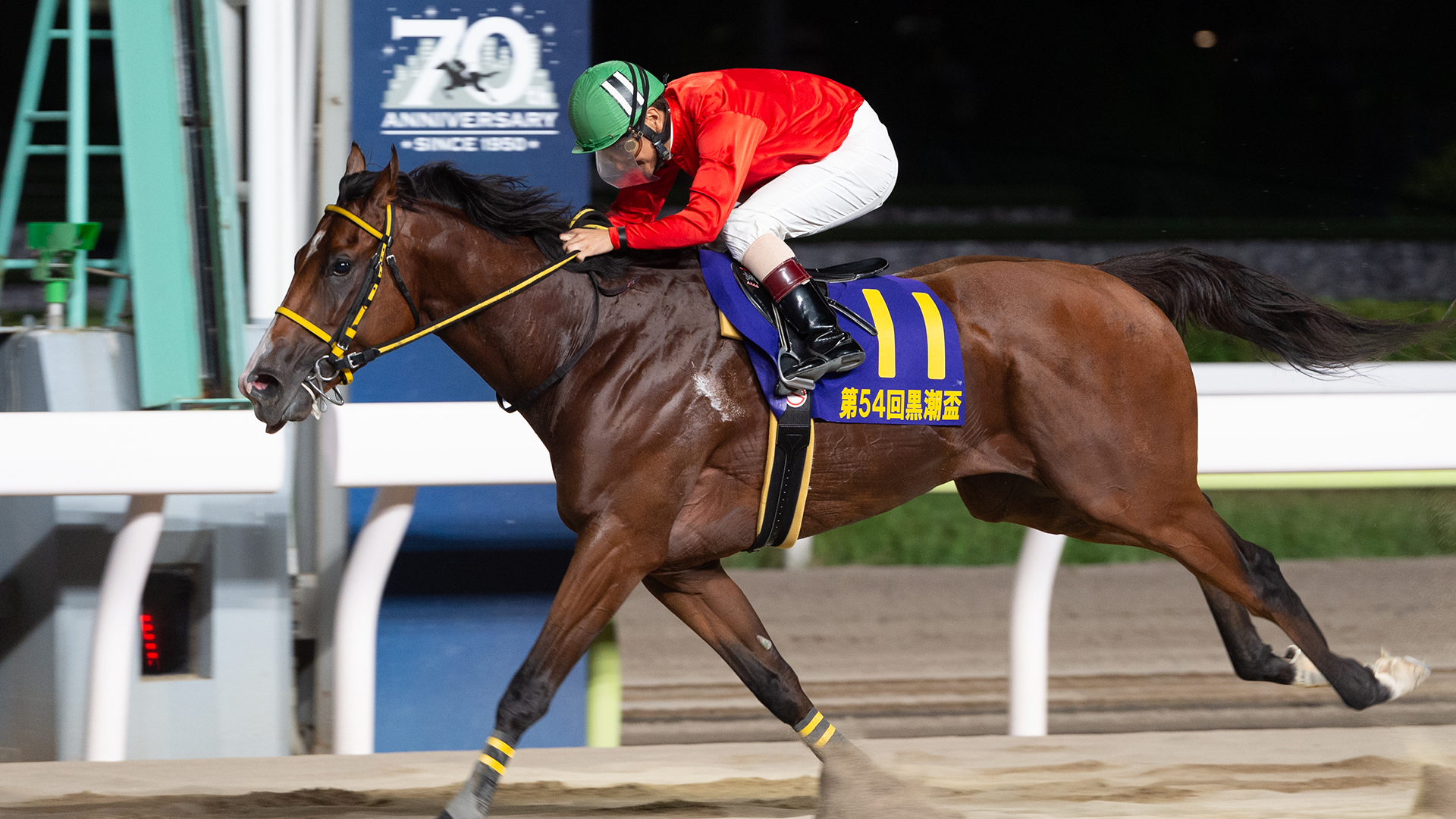 競馬 懐かしの名馬 イクノディクタス 第108回天皇賞 GⅠ 実使用