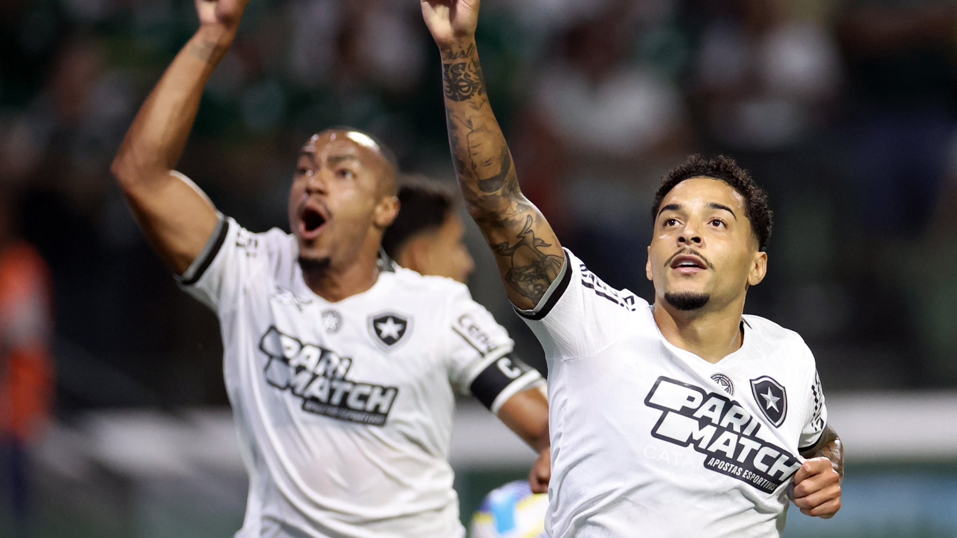 Botafogo 2024/2025