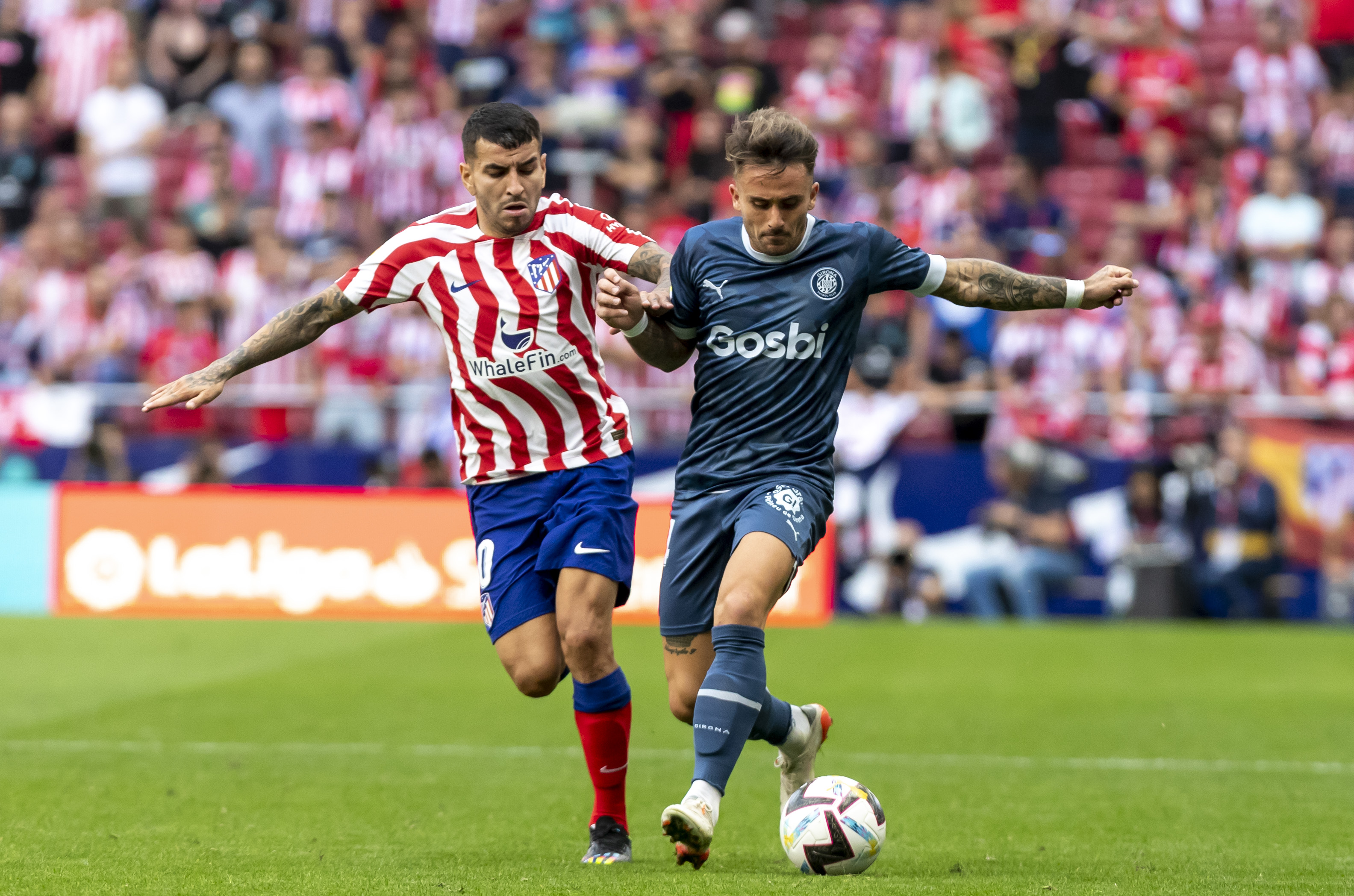 Atlético de madrid contra girona