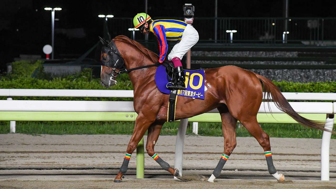 競馬 アフター5スター賞 Siii 有力 注目出走馬 枠順 発走時刻 放送 Dazn News 日本