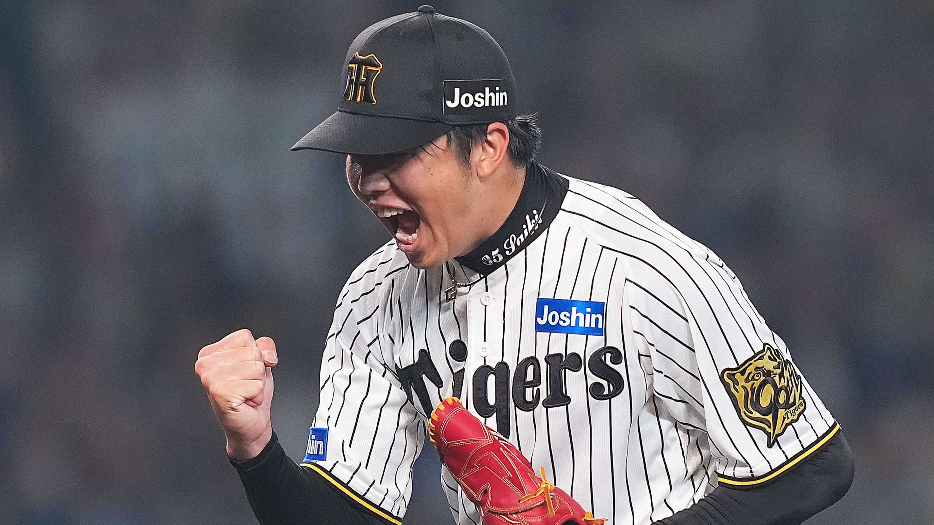 10月16日】阪神タイガース対横浜DeNAベイスターズのテレビ放送/ネット
