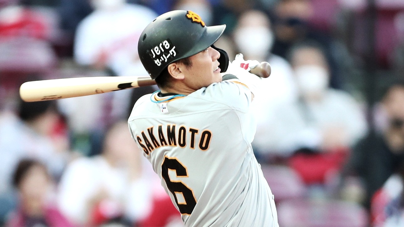坂本勇人通算250本塁打限定記念 オーセンティックバット ジャイアンツ 