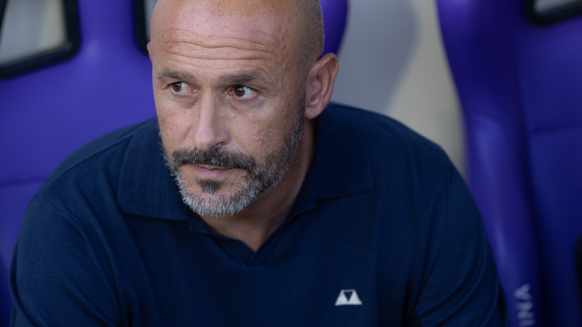 Vincent Ranieri Fiorentina, Italiano: