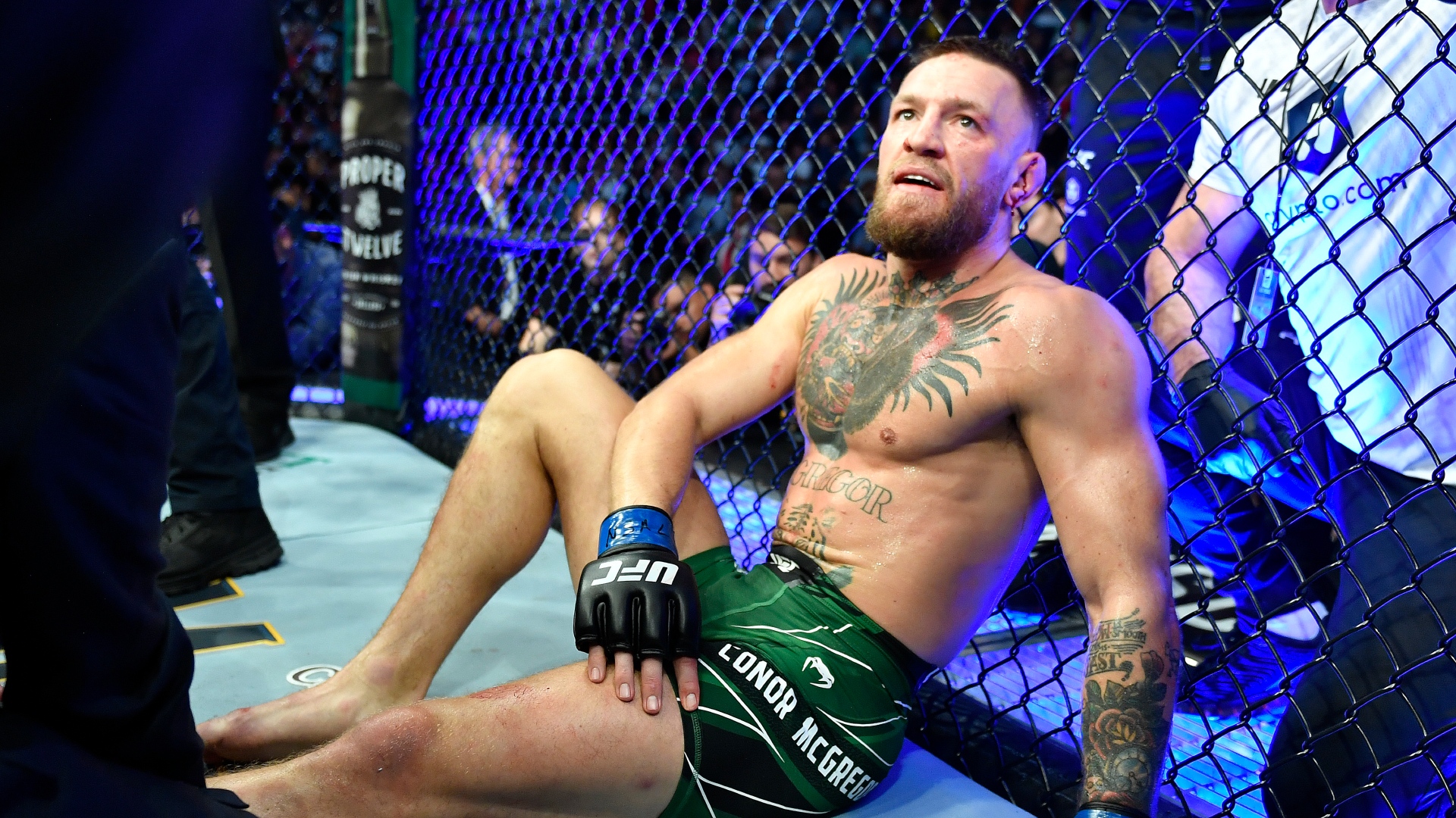 Cuándo es la próxima pelea de Conor McGregor en UFC? fecha, hora, TV y  dónde ver online en España | DAZN News MX