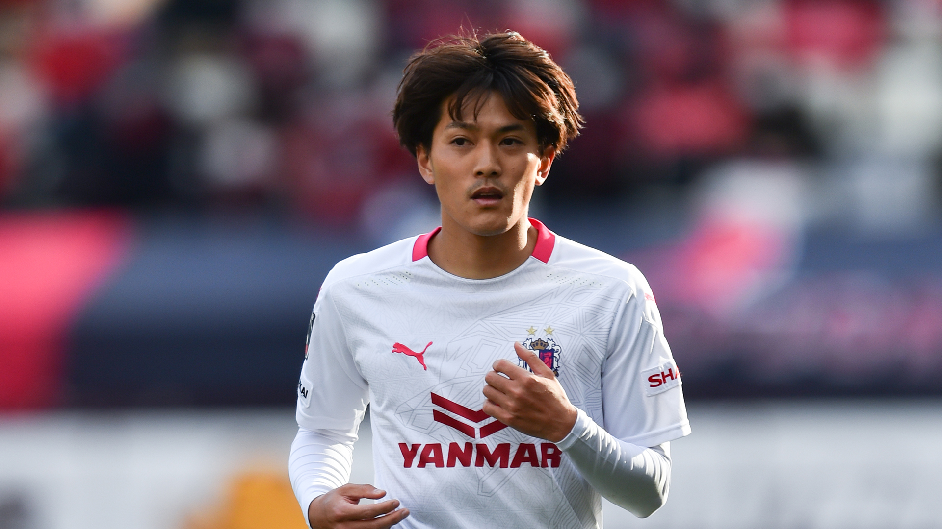 予約販売品 名古屋グランパス 長澤和輝 5 Www Caraubas Rn Gov Br