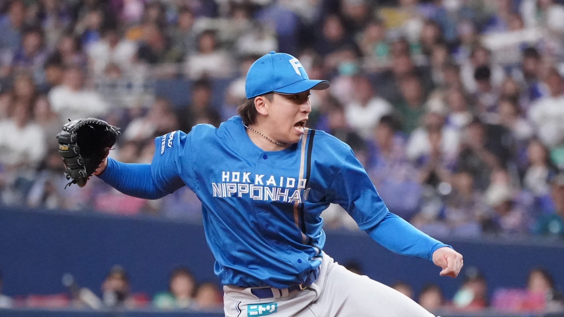 2025東北楽天ゴールデンイーグルス｜プロ野球選手名鑑 | DAZN News JP