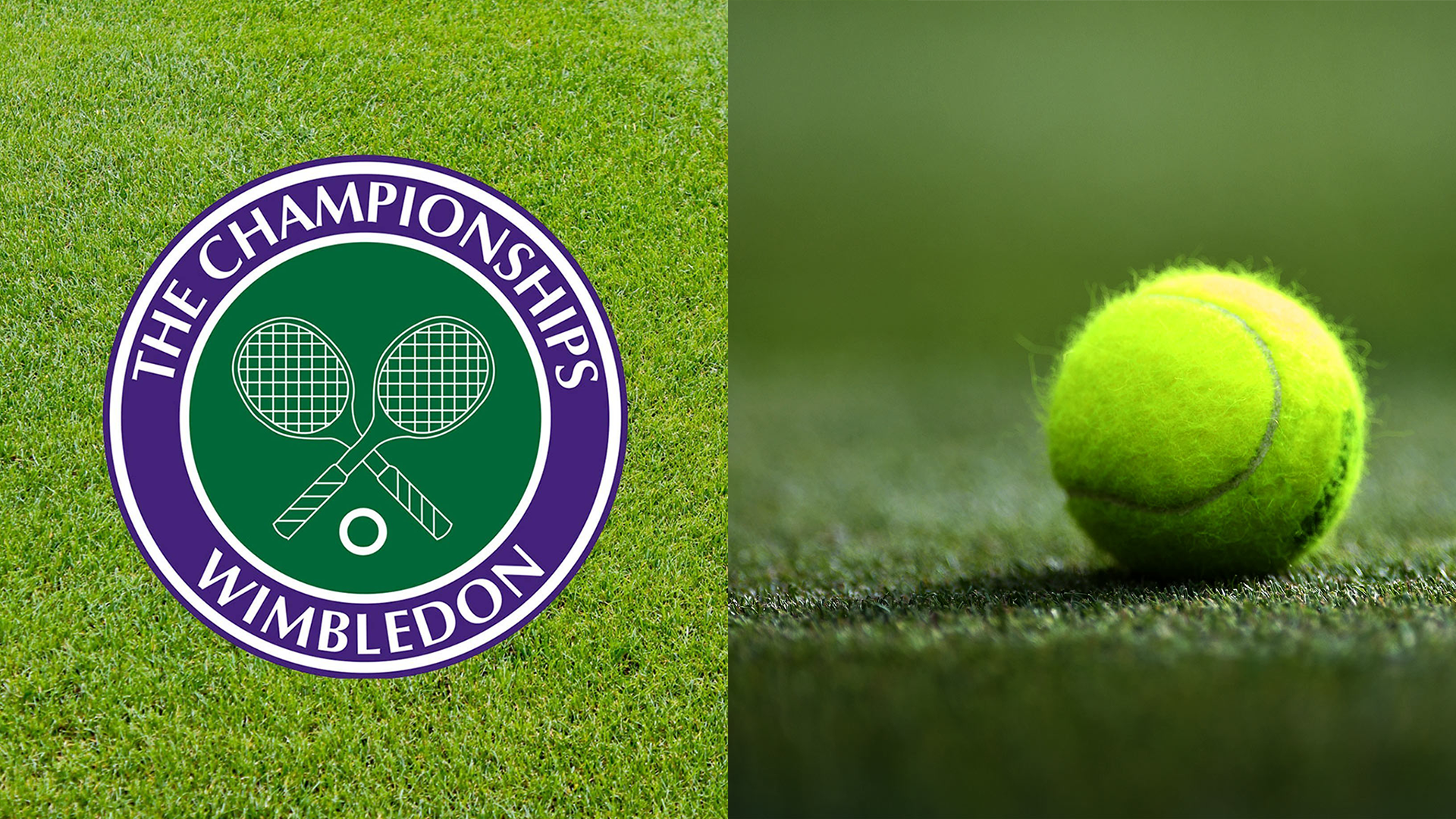 Wimbledon Logo