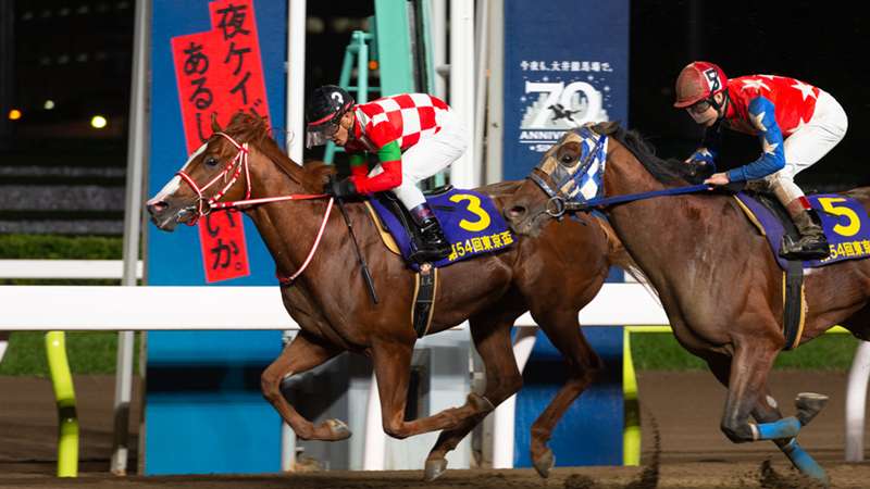 第55回東京盃（JpnII）有力・注目出走馬 ｜ 枠順 ｜ 日程・発走時間 ｜ 中継・放送予定 | 競馬