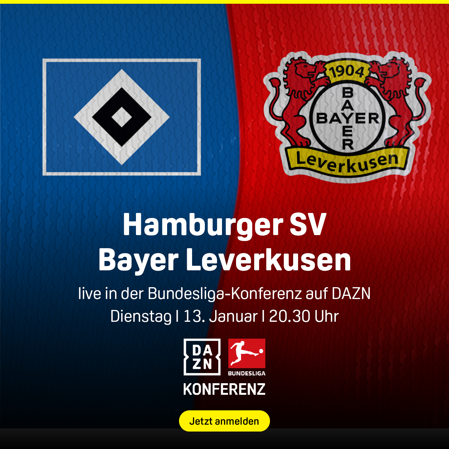 HSV Hamburger SV Bayer LeverkusenBundesliga