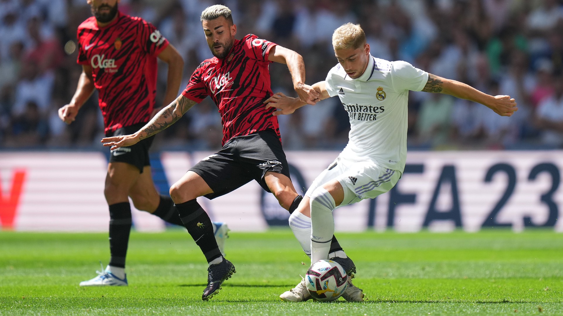 Real Madrid vs. Girona: TV, LIVE-STREAM - die Übertragung in LaLiga | DAZN News DE