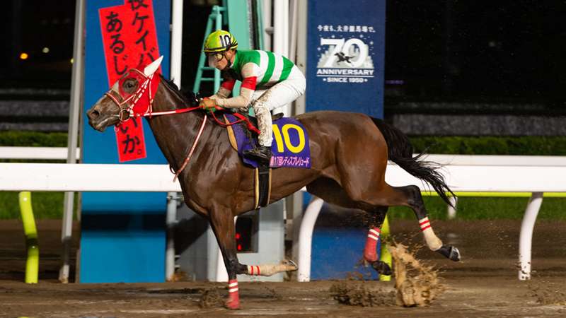 第18回レディスプレリュード（JpnII）有力・注目出走馬 ｜ 枠順 ｜ 日程・発走時間 ｜ 中継・放送予定 | 競馬