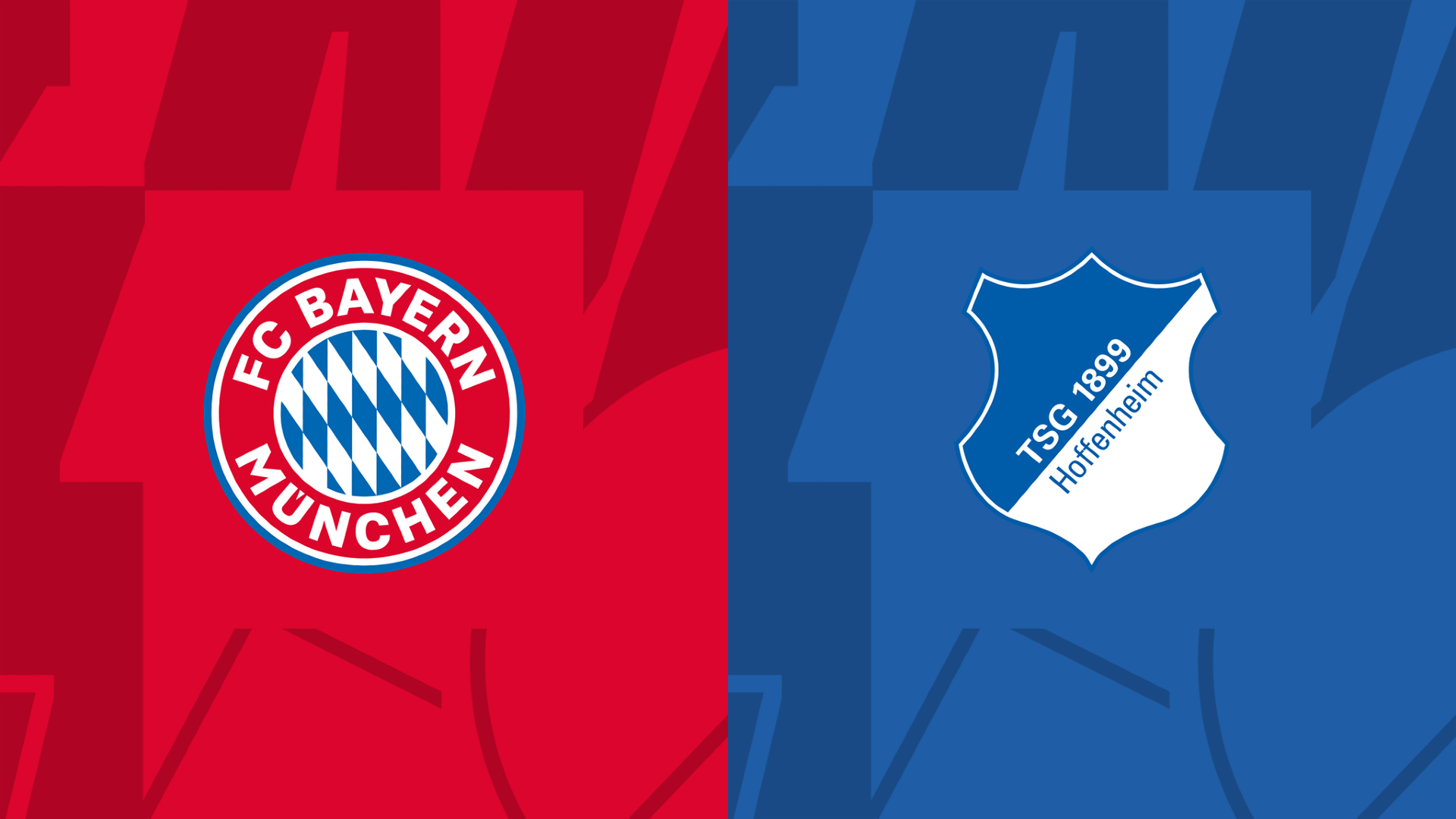 FC Bayern München Hoffenheim Logos