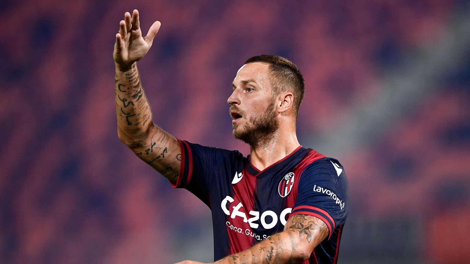 Marko Arnautovic, Bologna