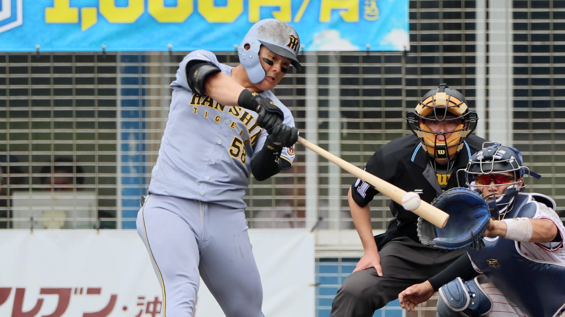 最新の 阪神タイガース ニュース | DAZN 日本