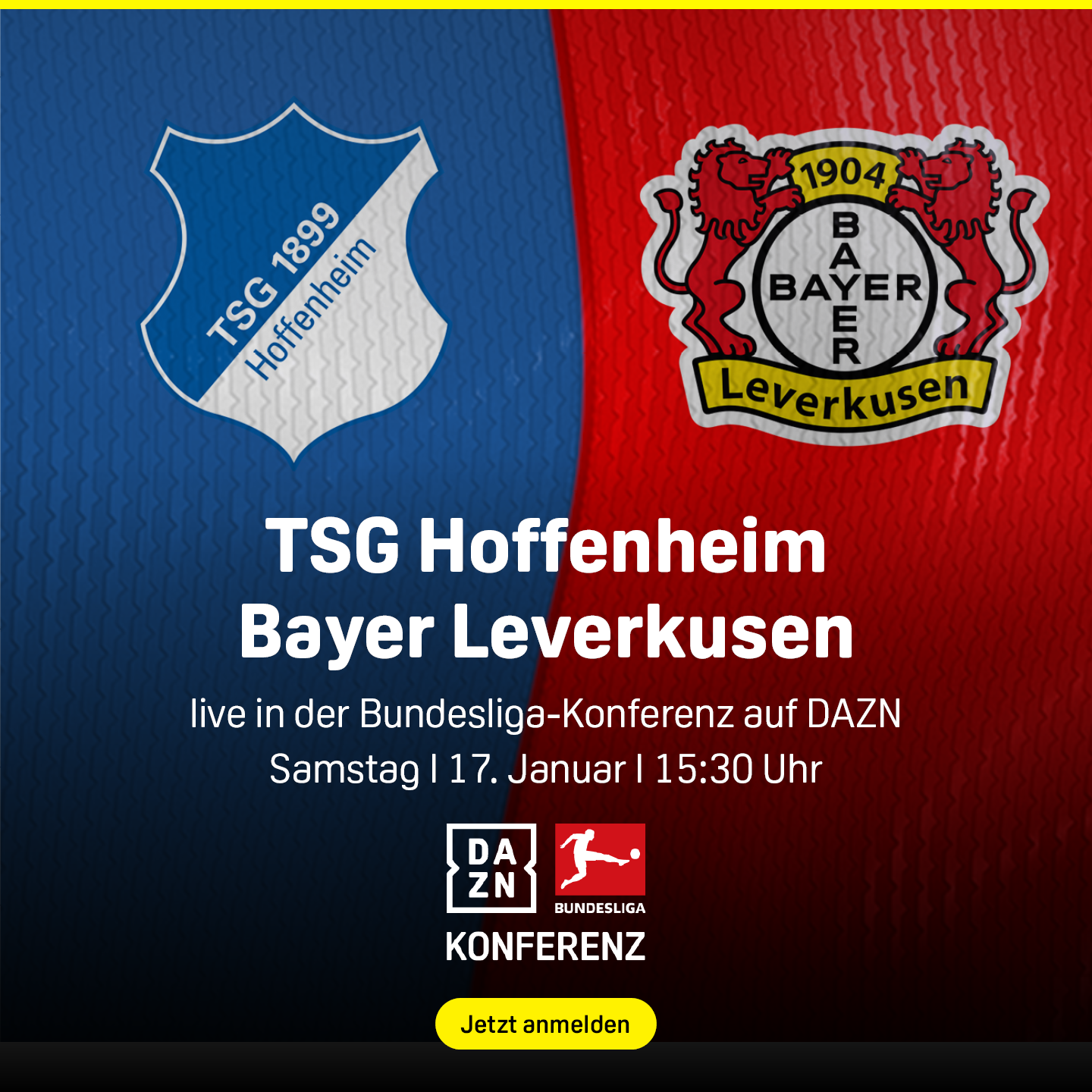 TSG Hoffenheim Bayer Leverkusen Bundesliga