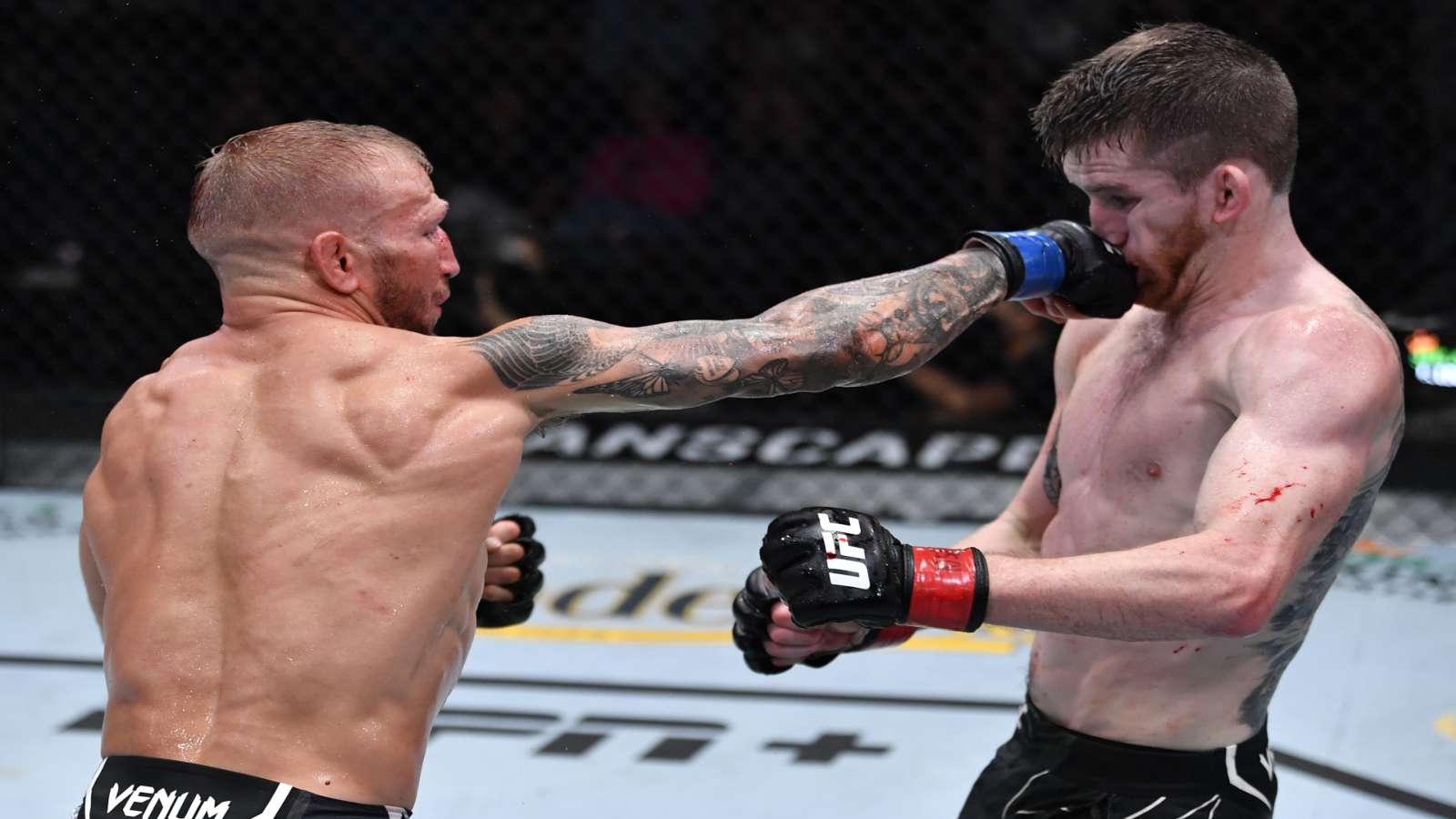 TJ Dillashaw returns from two-year suspension to win split ...