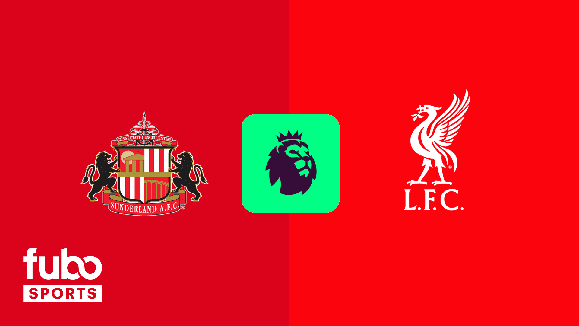 Sunderland vs Liverpool