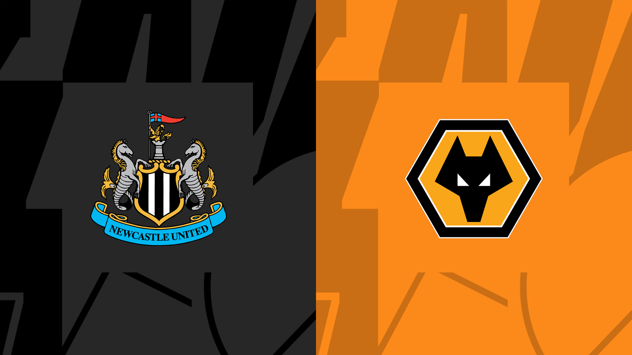 Newcastle x wolves data hora transmiss o online e onde ver a premier