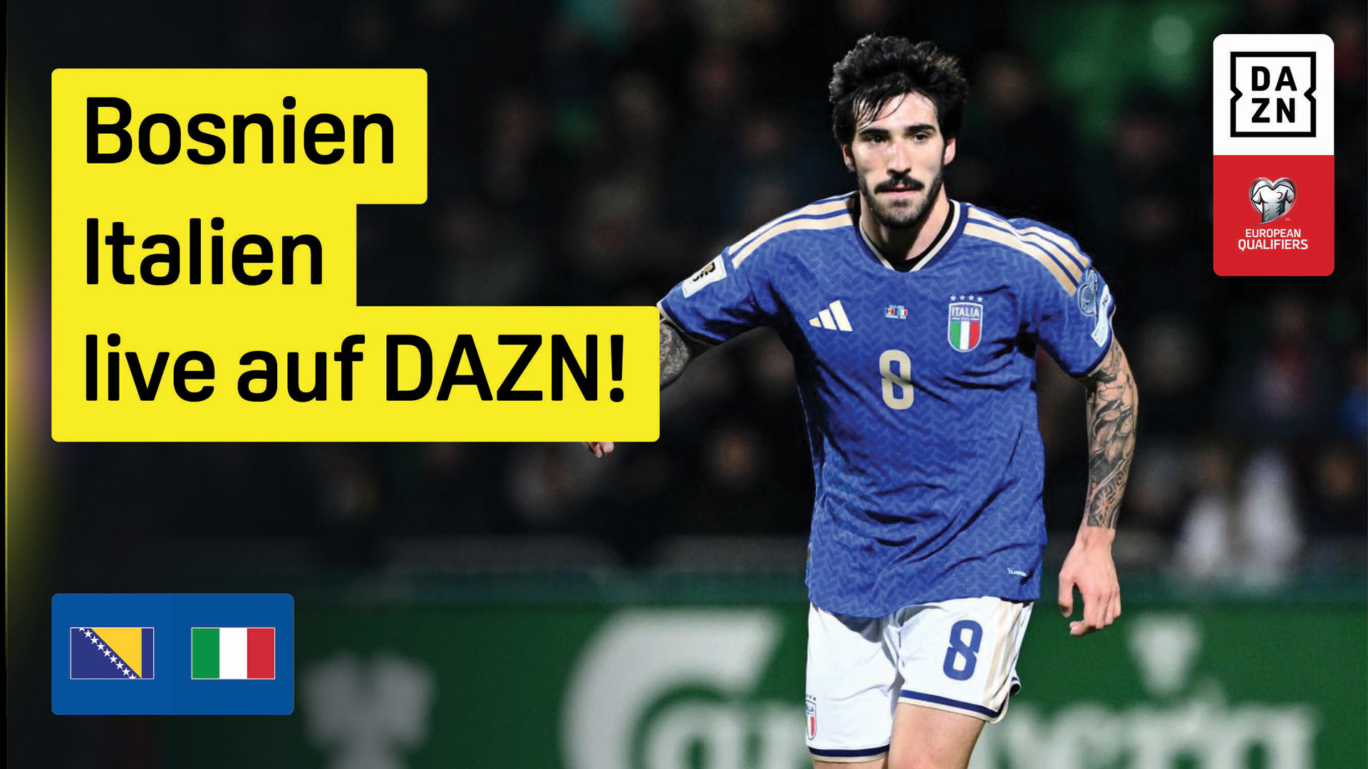Bosnien-Herzegowina Italien WM-Qualifikation Playoffs