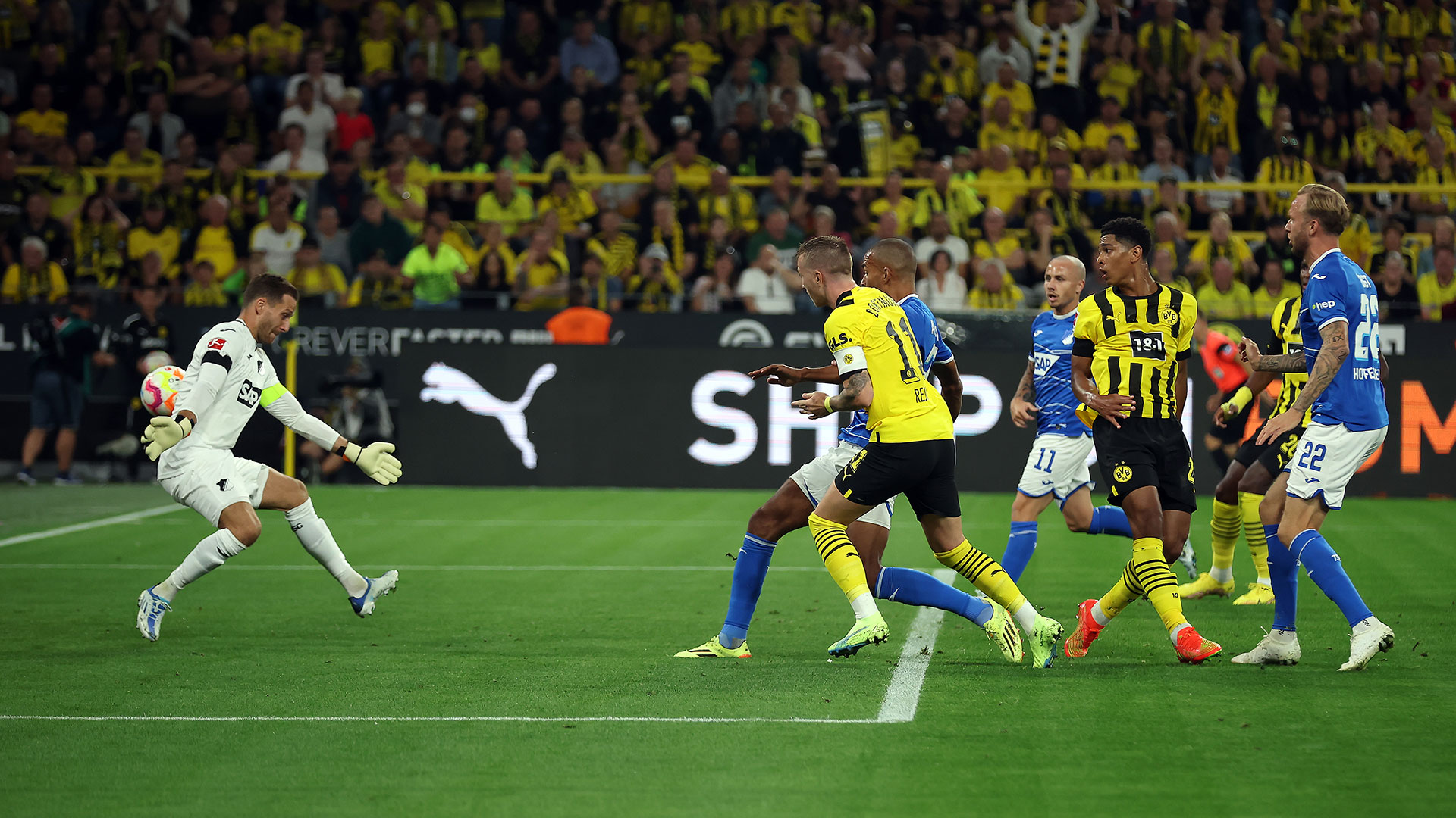 Borussia Dortmund BVB TSG Hoffenheim Bundesliga 02092022