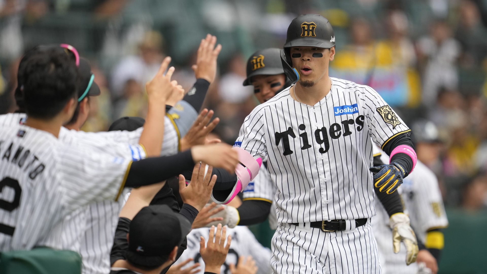 巨人vsロッテ 交流戦 6⁄4 スターシートA 2枚 6/19(日)