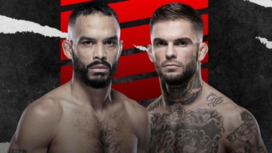 UFC Fight Night Dominick Reyes vs Jiri Prochazka: fecha ...
