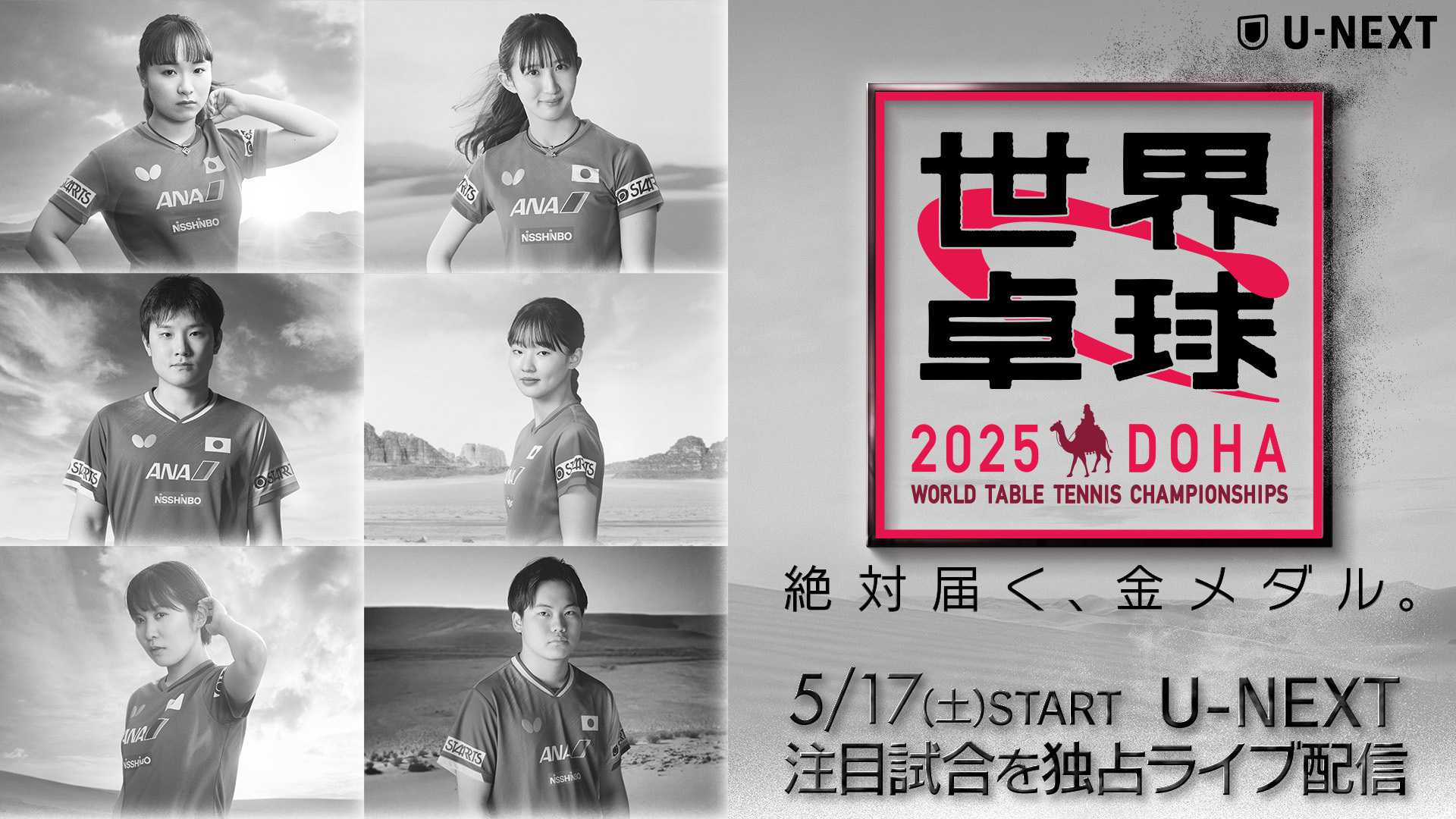 世界卓球選手権2025（世界卓球）の日程・テレビ放送予定・ネット配信