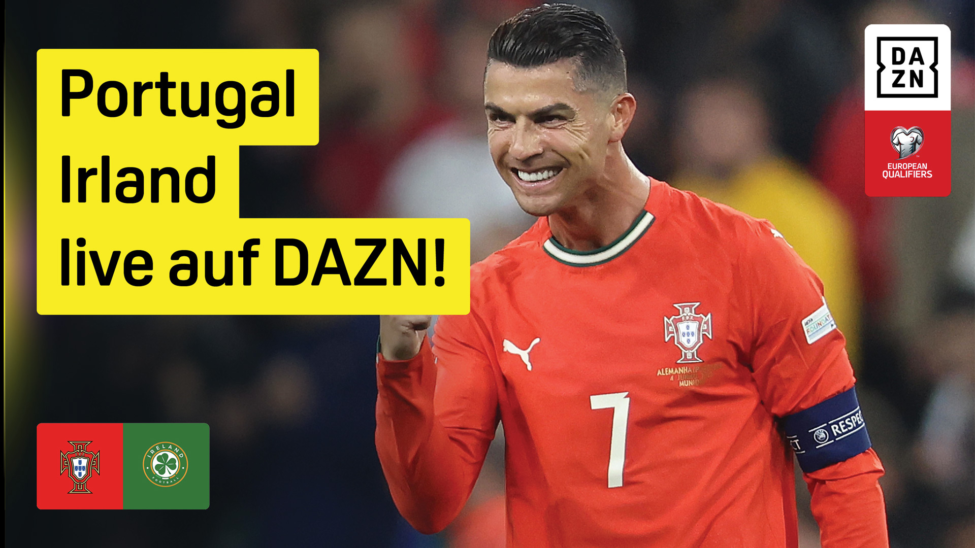 Portugal Irland UEFA European Qualifiers WM-Qualifkation