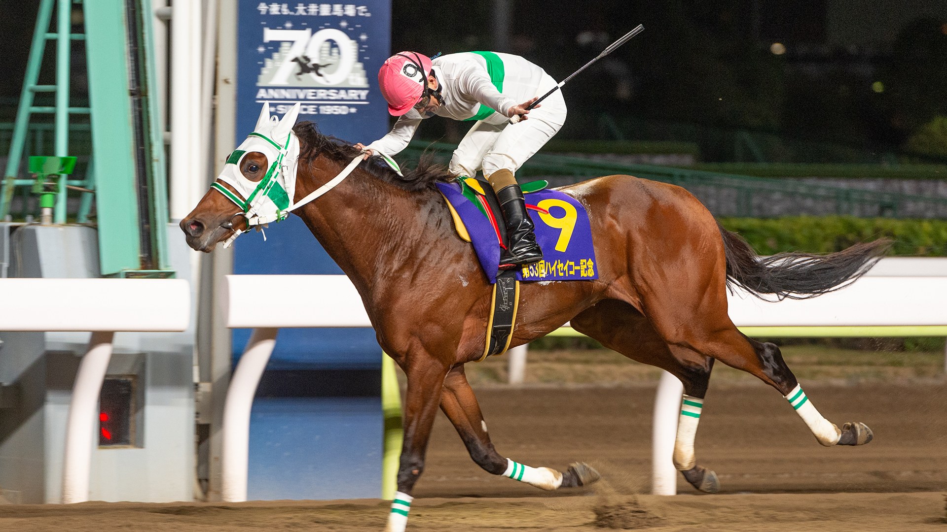 伝説の名馬ハイセイコー馬券