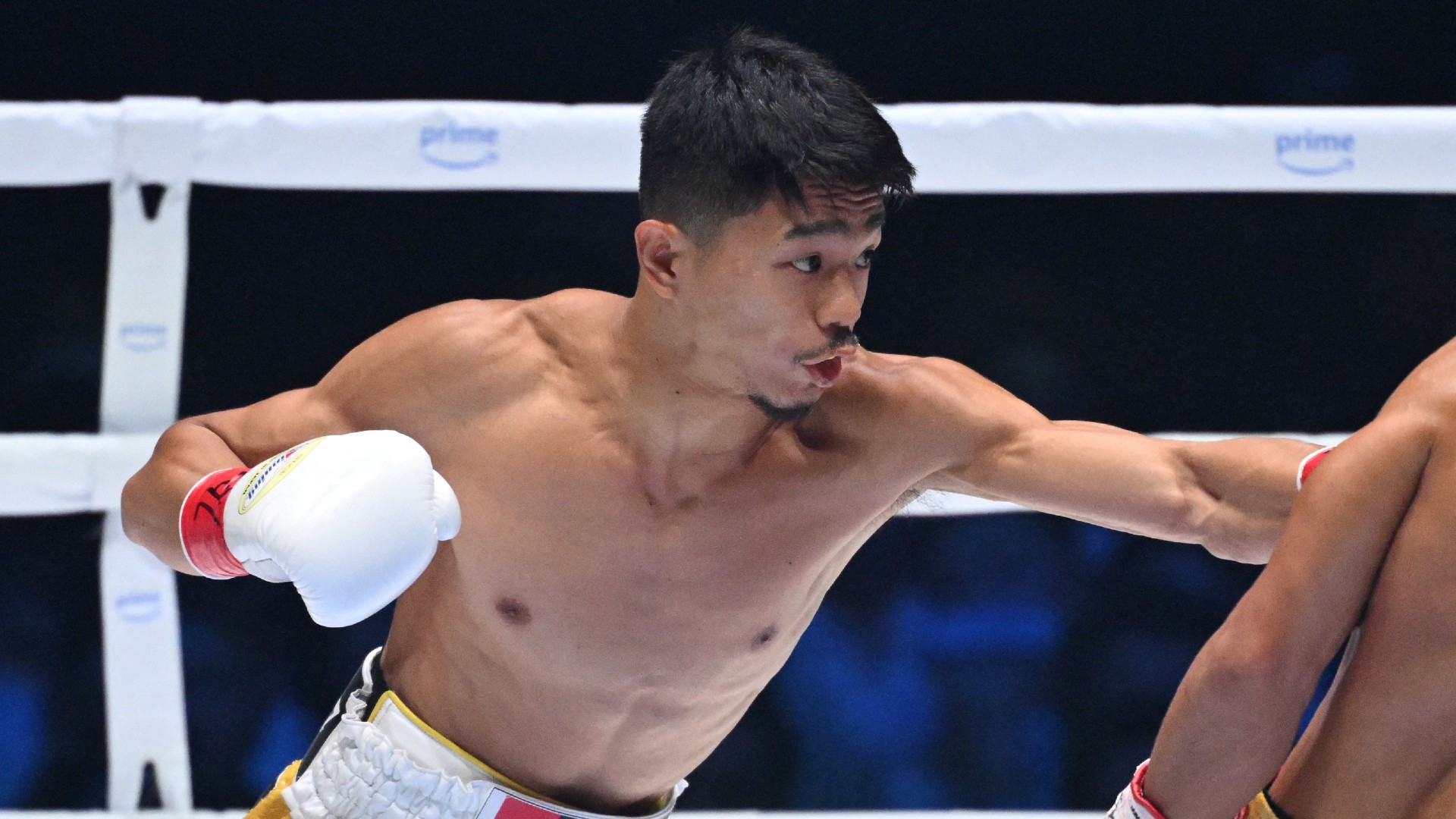 9／30まで特価ファンクラブ観戦限定 中谷潤人WBC IBF タイトル統一戦 T