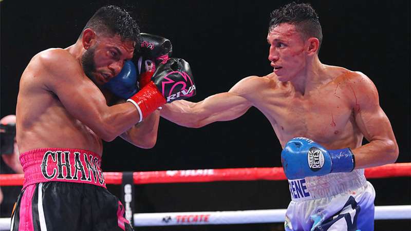 Rene Alvarado shocks Andrew Cancio with seventh-round TKO, becomes WBA junior lightweight champ