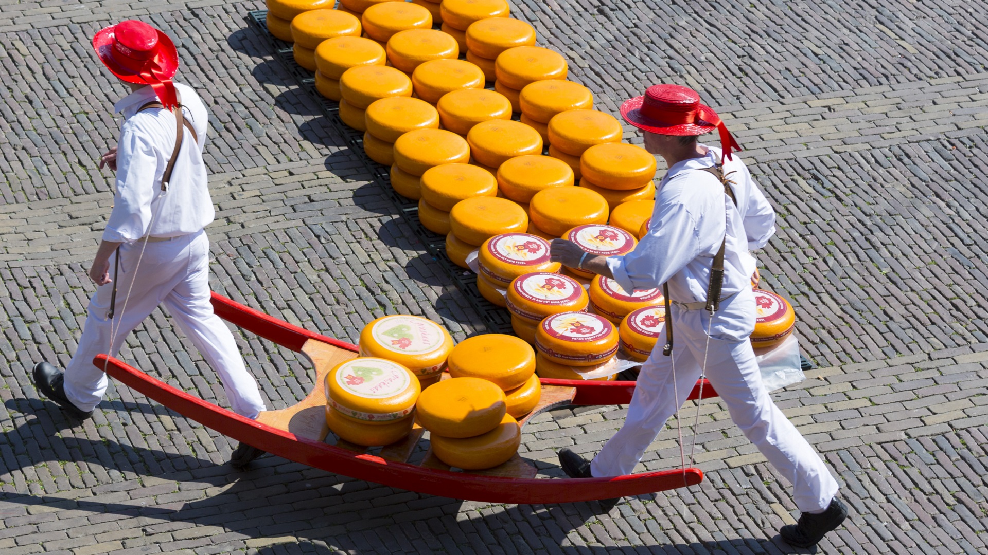 Il mercato del formaggio di Alkmaar