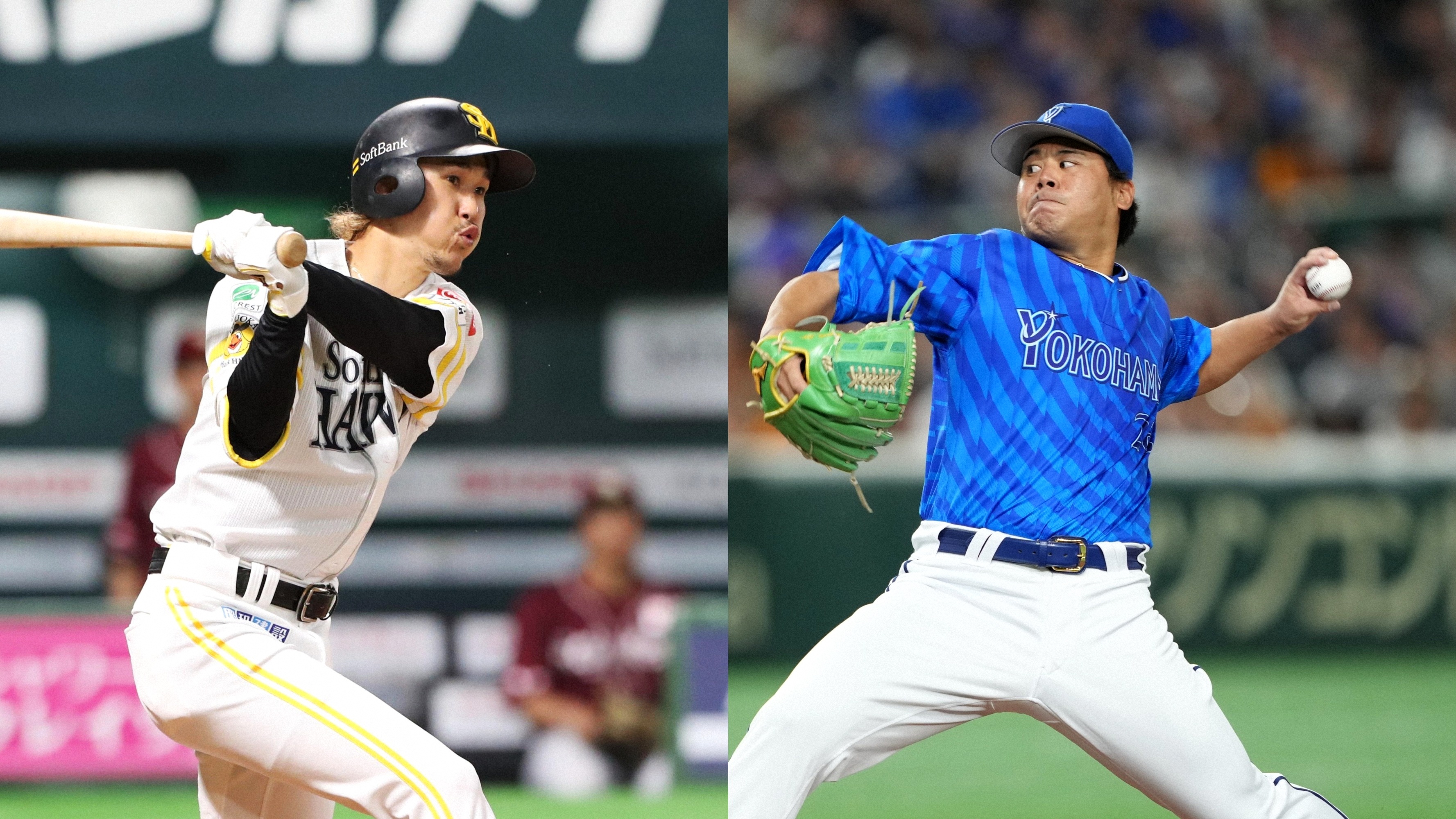 【新品未使用】プロ支給品 NPBバット 三森大貴 ソフトバンクホークス DeNA DeNA・濱口遥大とソフトバンク・三森大貴の交換トレードが成立｜プロ